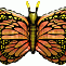 Бабочка крылья оранжевые /Flexmetal