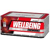 Wellbeing Fireworks 0.8" 127 залпов