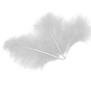 Набор перьев (белый) 30 шт. 172001
