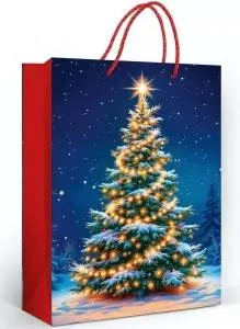 Пакет подарочный (МL) 31*22 см / 70000841