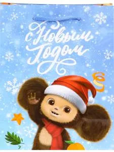 Пакет подарочный М/ПКП-0395 18*23*10 см 