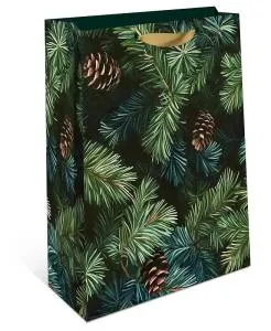 Пакет подарочный 18*22,3*10 см. / 1312.922