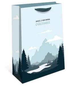 Пакет подарочный 18*22,3*10 см. / 2312.142