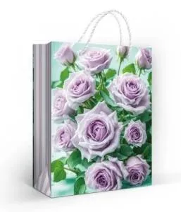 Пакет подарочный (М) 22,7*18 см/ 15.11.02668