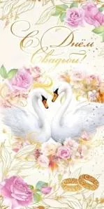 Конверт "Праздник" 5.0001828