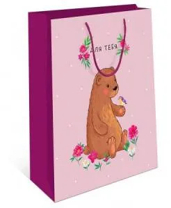 Пакет подарочный 18*22,3*10 см./ 88041676 /0192,167