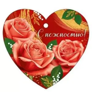 Бирка "Империя поздравлений" 3.0001617