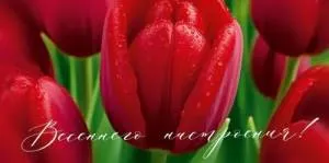 Конверт "Империя поздравлений" 3.0001747