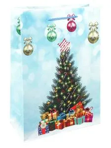 Пакет подарочный ПКП-5671 22*31*10 см с глянц.ламинацией