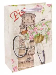 Пакет подарочный М/ПКП-3412 18*24*8,5 см с мат ламинированием