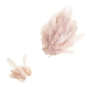 Набор перьев (пепельная роза) 8-10 см 100 шт./Ч51328