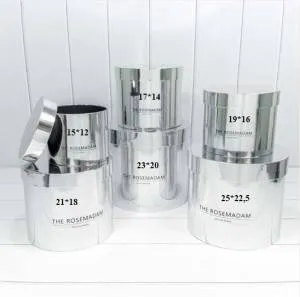 Коробка Цилиндр 15*12 см "THE ROSEMADAM" Серебро