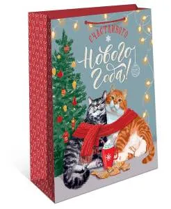 Пакет подарочный 26*32*12 см./ 0193.556