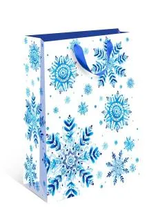 Пакет подарочный 18*22,3*10 см / 1312.557