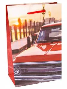 Пакет подарочный ПКП-1805 26,4*32,7*8см с мат.ламинацией