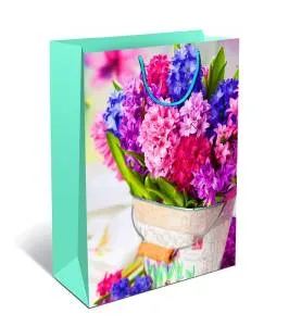 Сумка подар 0292.171