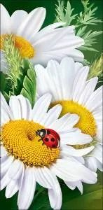 Открытка "Праздник" 