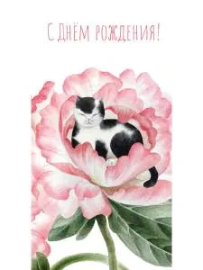 Конверт "Профит" Soft Touch  КСТ-0504