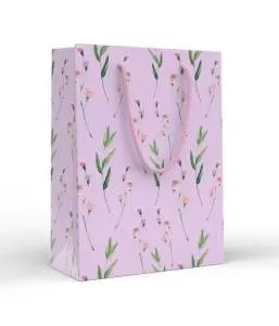 Сумка подар. 15,20,02264/ МS 18*13.5 см