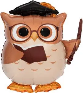 25" Сова Выпускник / Китай 27618