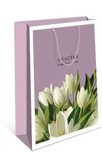 Пакет подарочный 26*32*12 см. / 0193.232