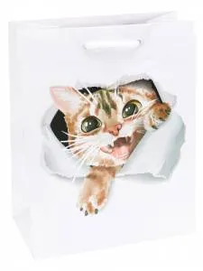 Пакет подарочный M/ПКП-6357 18*23*10 см с глянц. ламинацией