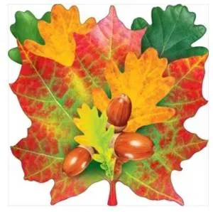 Открытка "Открытая планета" Укр. на скотче 88612