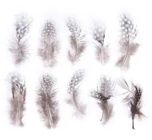Набор перьев (коричневый с белым) 10 шт. 1250975