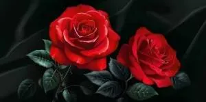 Конверт "Империя поздравлений" 3.0000569