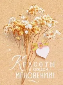 Бирка "Открытая планета" 9.0000823