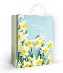 Пакет подарочный (М) 22,7*18 см/ 15.11.02681