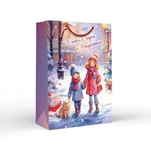 Сумка подар. 15,16,02258 / ML 31*22 см