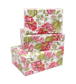 Коробка 23*16*9,5 см. ПП-0572