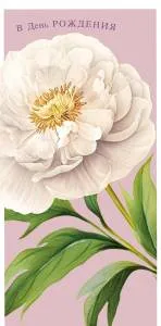 Конверт "А-Д" 0321.220