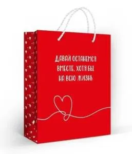 Пакет подарочный (М) 23*18 см / 10000198