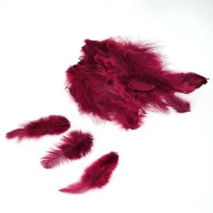 Набор перьев (бордовые) 8-10 см 100  шт. /ч18732