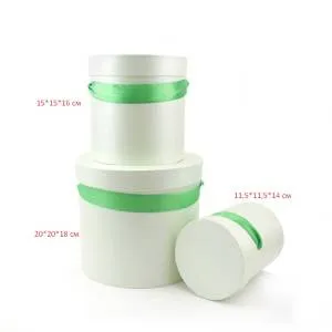 Коробка 20*20*18 см "Свежая мята"