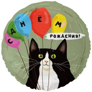 18" ДР Кот и Воздушные шары / Китай  1202-4259