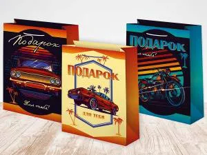 Пакет подарочный 18*23 см/ ч45579