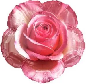 18" Утренняя роза / Китай 26939