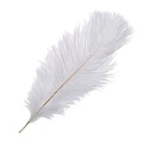 Перья страуса Белые (20-25 см) 5 шт. 