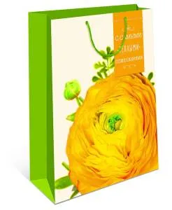 Сумка подар 0293.129