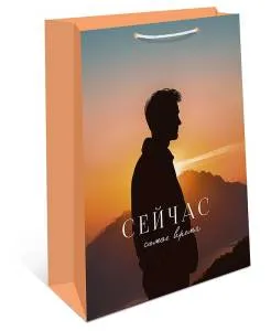 Пакет подарочный 26*32*12 см. / 0193.959