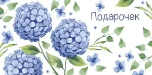 Конверт "Империя поздравлений" 41530