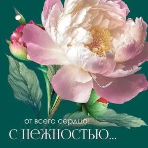 Открытка "Праздник" 2901890