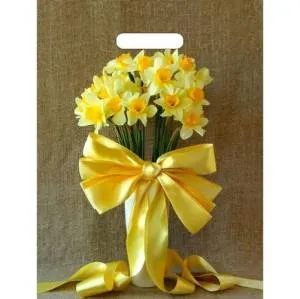 Пакет вырубной Нарциссы с бантиком 40*31
