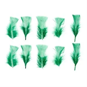 Набор перьев (светло-зеленый) 10 шт. 1250939