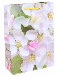 Пакет подарочный M/ППК-6297 18*23*8 см с ламинацией