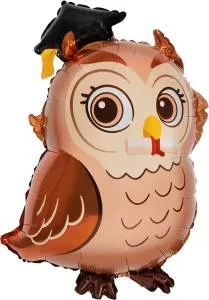 26" Сова Выпускник / Китай 27617