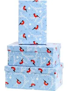 Коробка 21*14*8 см Снегири